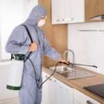 Pest Control Services In Dehradun