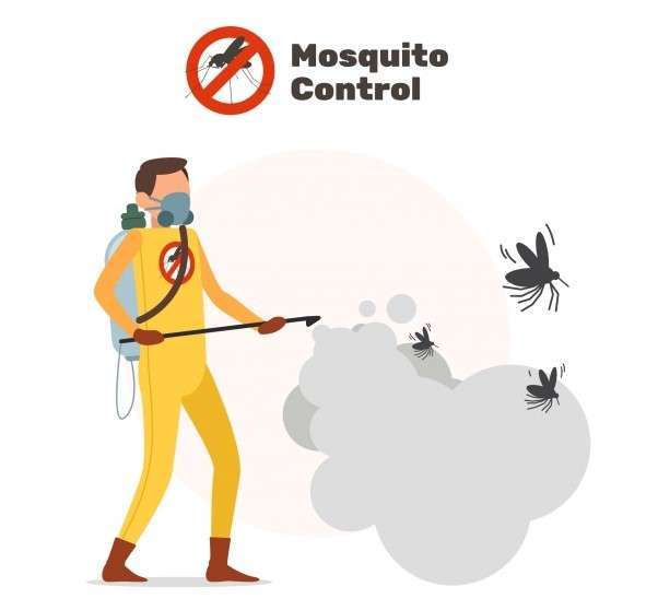 Pest Control Services In Noida