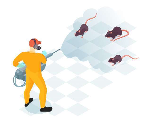 Pest Control Services In Thane