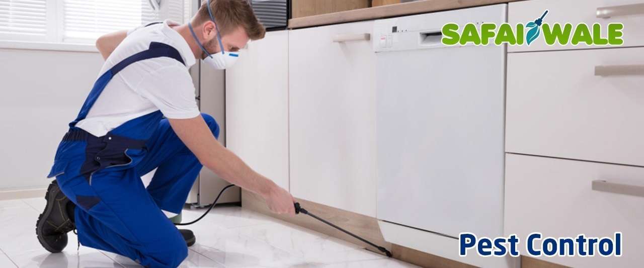 Pest Control Services In Noida Extension