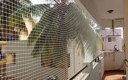 Bird Netting Services In Ghaziabad