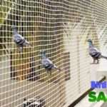 Bird Netting Services