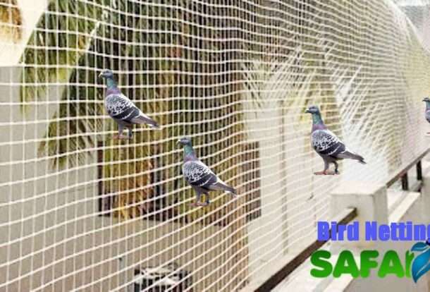 Bird Netting Services