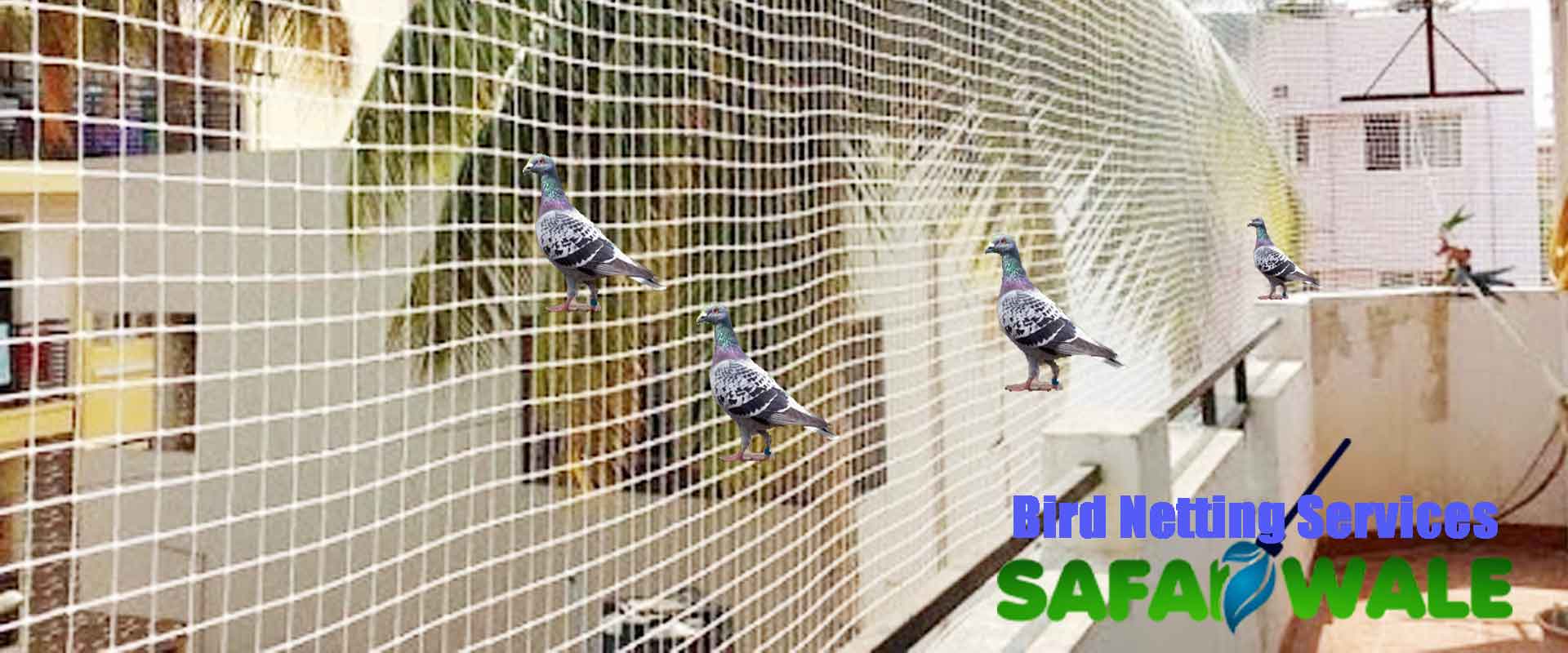 Bird Netting Services In Aditya Mega City, Ghaziabad