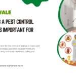 Why Hiring a Pest Control Company is Important For Your Home