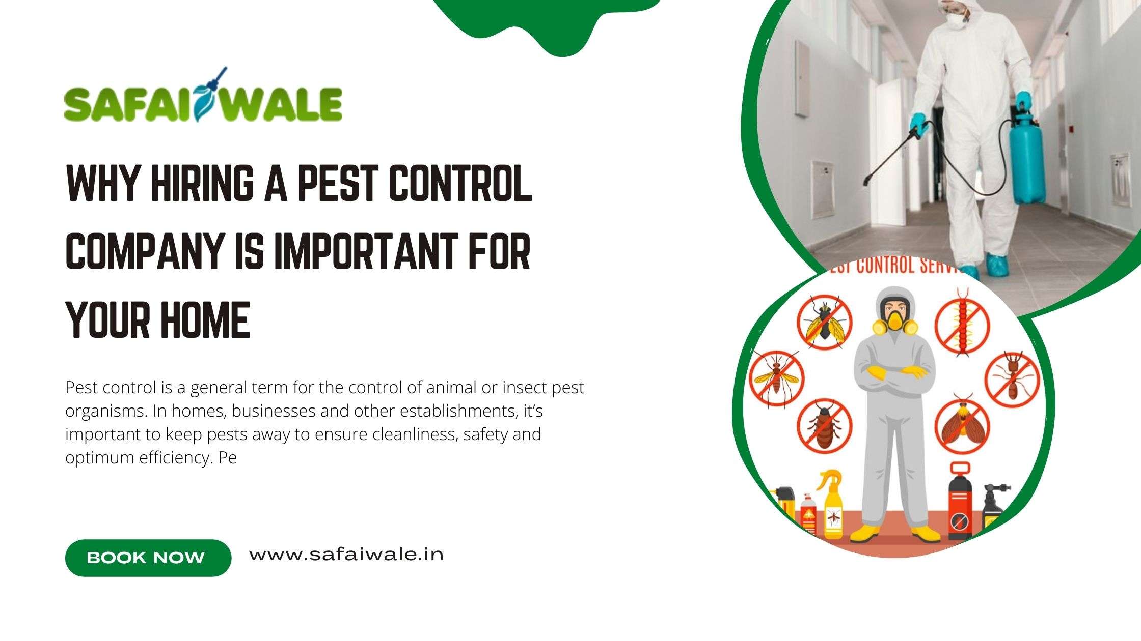 Why Hiring a Pest Control Company is Important For Your Home
