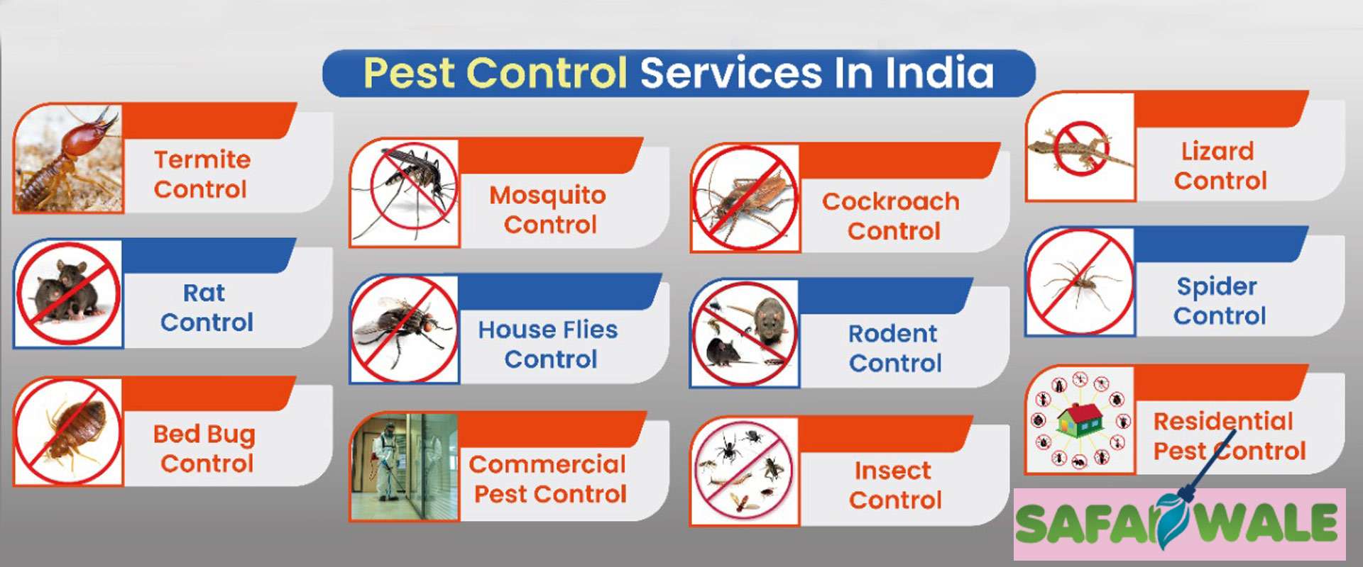 Best Pest Control Services In Bangalore Safaiwale