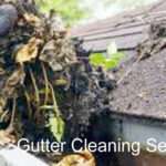 Gutter Cleaning