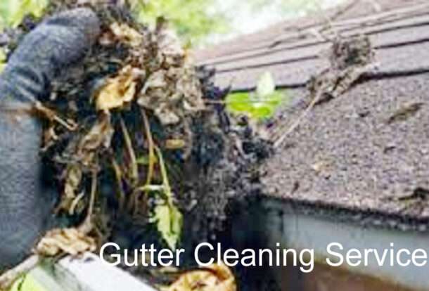 Gutter Cleaning