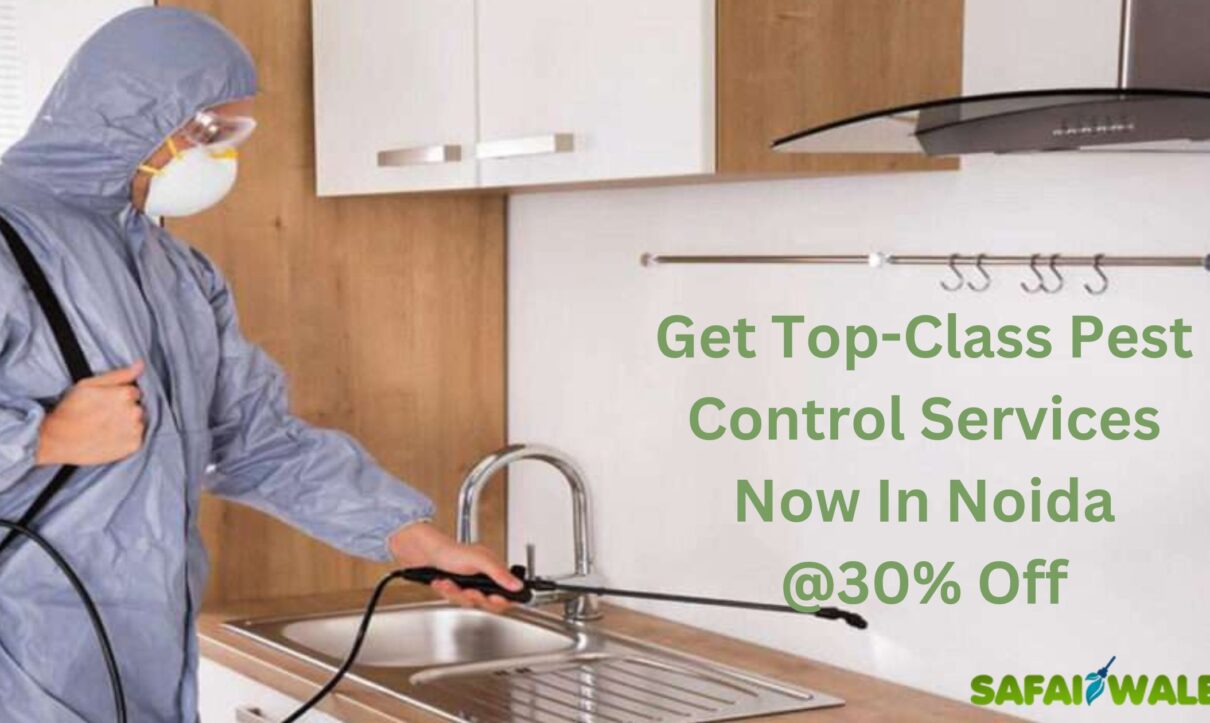 Get Top-Class Pest Control Services Now In Noida @30% Off