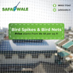 Bird Spikes and Bird Nets