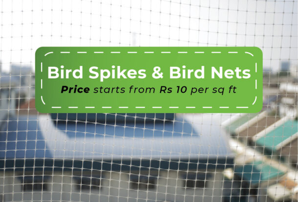 Bird Spikes and Bird Nets