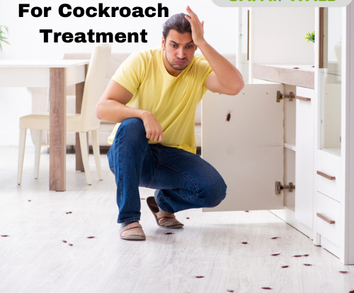 Top Home Remedies for Cockroach Treatment