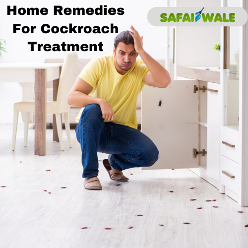Top Home Remedies for Cockroach Treatment