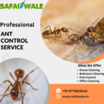 Ant Control Services