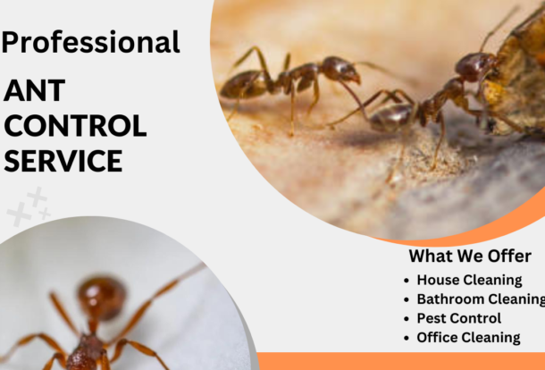 Ant Control Services