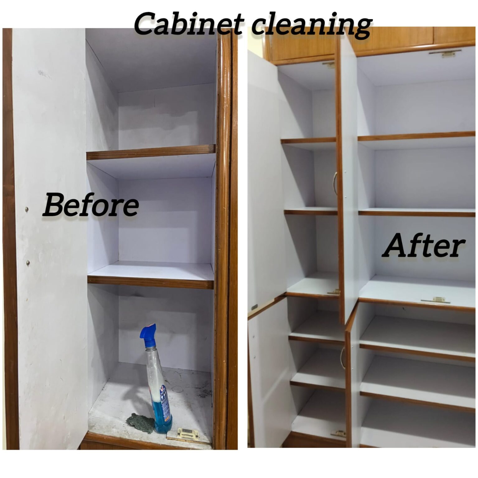 WhatsApp Image 2026-03-18 at 11.48.55 AM